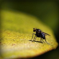 /album/rhinivermo/photolia-a07-jpg/